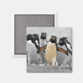 Rockhopperのペンギン マグネット (正面/裏面)