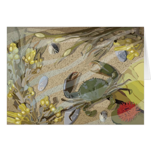 Rockpool (正面横)