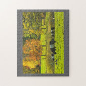 Rockportメインの農場のギャロウェーベルトを付けられた牛 ジグソーパズル (縦)