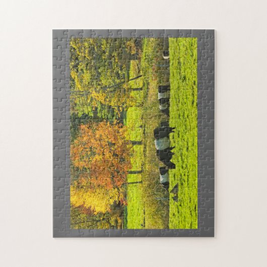 Rockportメインの農場のギャロウェーベルトを付けられた牛 ジグソーパズル (縦)