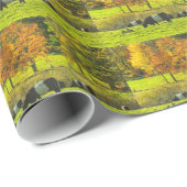 Rockportメインの農場のギャロウェーベルトを付けられた牛 ラッピングペーパー (ロールコーナー)