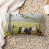 Rockportメインの農場のギャロウェーベルトを付けられた牛 ランバークッション (ブランケット)