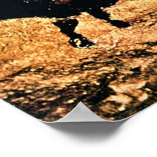 Rock's 絵画 of bison, c.17000 BC ポスター (角)