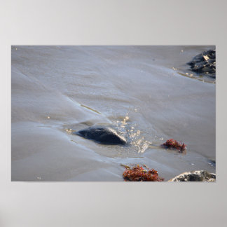 Rocks in the Ocean Poster ポスター