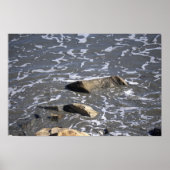 Rocks in the Ocean Poster ポスター (正面)