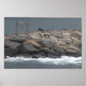 Rocks with Birds Ocean Waterscape Poster ポスター (正面)
