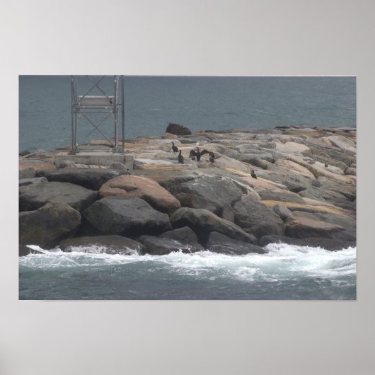 Rocks with Birds Ocean Waterscape Poster ポスター (正面)