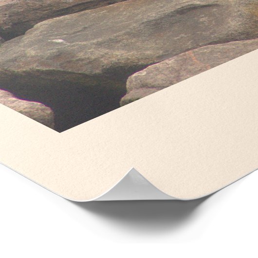 Rocks with Birds Ocean Waterscape Poster ポスター (角)