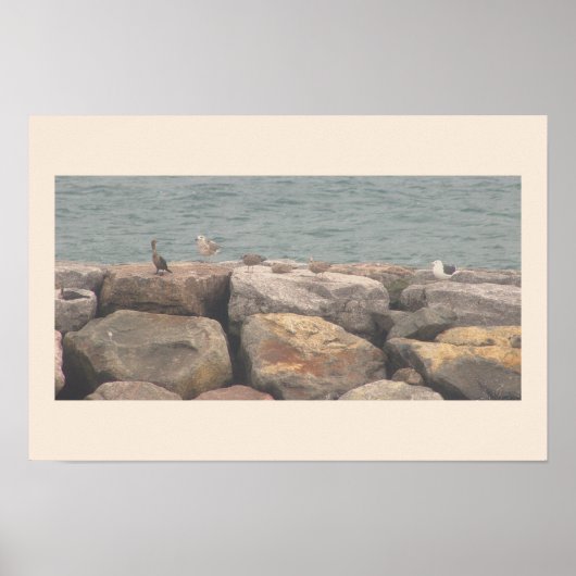 Rocks with Birds Ocean Waterscape Poster ポスター (正面)