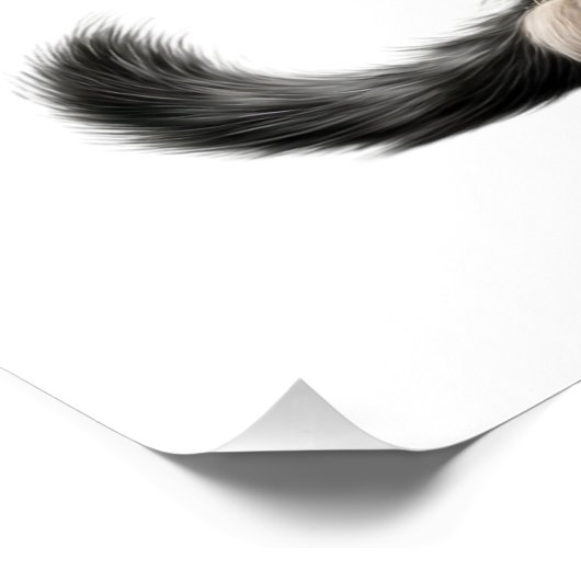 ROCKSTAR ポスター (コーナー)