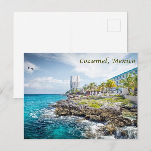 Rocky Coast of Cozumel, Mexico  ポストカード (正面/裏面)