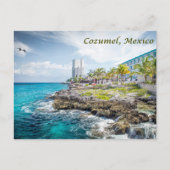 Rocky Coast of Cozumel, Mexico  ポストカード (正面)