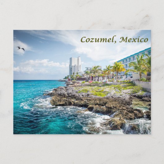 Rocky Coast of Cozumel, Mexico  ポストカード (正面)