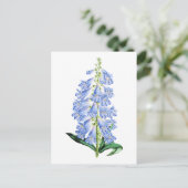 Rocky Mountain Blue Vintage Botanical Postcard ポストカード (スタンド正面)