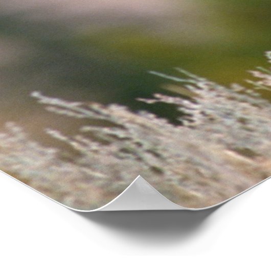 Rocky Mountain Elk Yellowstone National Park ポスター (角)