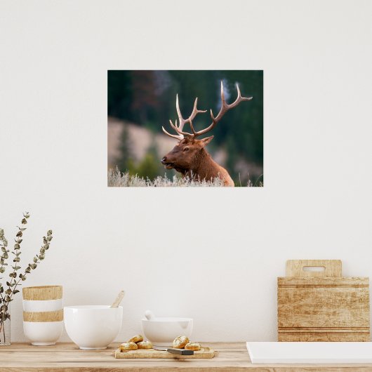 Rocky Mountain Elk Yellowstone National Park ポスター (キッチン)