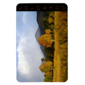 Rocky Mountain National Park Colorado Aspens  マグネット (縦)