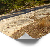 Rocky Mountain Overlook in Early Fall ポスター (角)