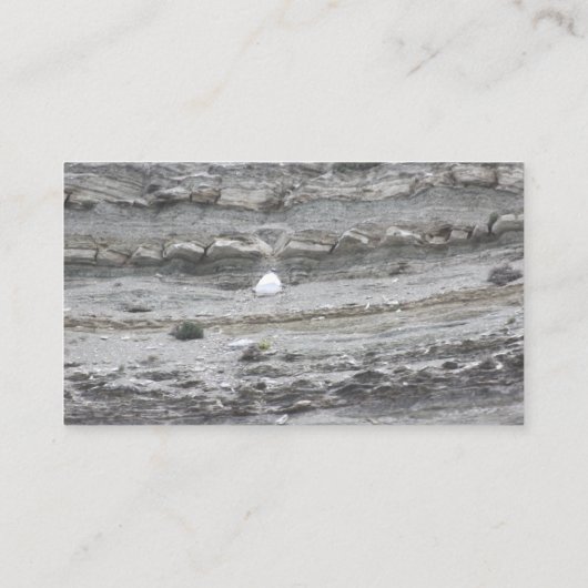 Rocky Surface名刺 名刺 (裏面)