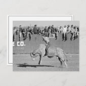 Rodeo Bull Rider, 1940 ポストカード (正面/裏面)