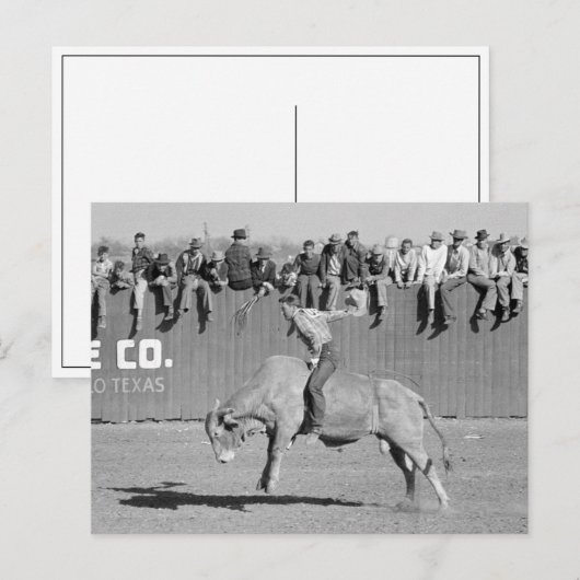 Rodeo Bull Rider, 1940 ポストカード (正面/裏面)