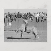 Rodeo Bull Rider, 1940 ポストカード (正面)