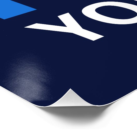 Roe Your Vote I ポスター (コーナー)
