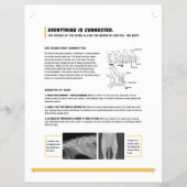 ROFシート（イヌ） チラシ (正面)
