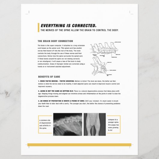 ROFシート（イヌ） チラシ (正面)