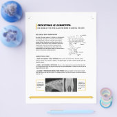 ROFシート（イヌ） チラシ (シングル)