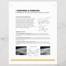 ROFシート(犬ウマ科の+)