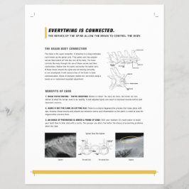 ROFシート(犬ウマ科の+) チラシ