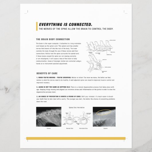 ROFシート(犬ウマ科の+) チラシ (正面)