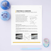ROFシート(犬ウマ科の+) チラシ (シングル)