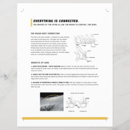 ROFフライヤーウマ科の(S) チラシ
