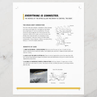 ROFフライヤーウマ科の(S) チラシ