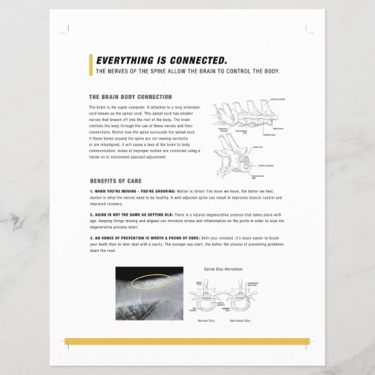 ROFフライヤーウマ科の(S) チラシ (正面)