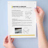 ROFフライヤーウマ科の(S) チラシ (手)