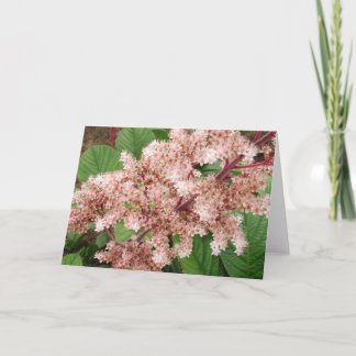 Rogersiaの花のブランクNotecard カード
