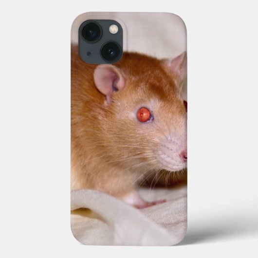 Rolando iPadケース Case-Mate iPhoneケース (裏面)