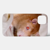 Rolando iPadケース Case-Mate iPhoneケース (裏面 (横))