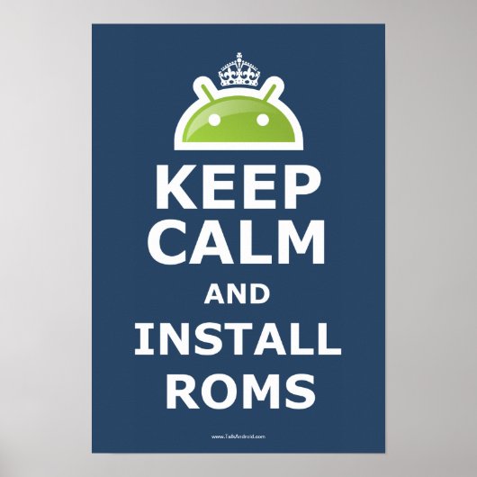 ROMス保ポスターのインストール ポスター (正面)