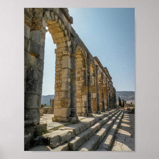 Roman Arches of Volubilis – ポスター (正面)