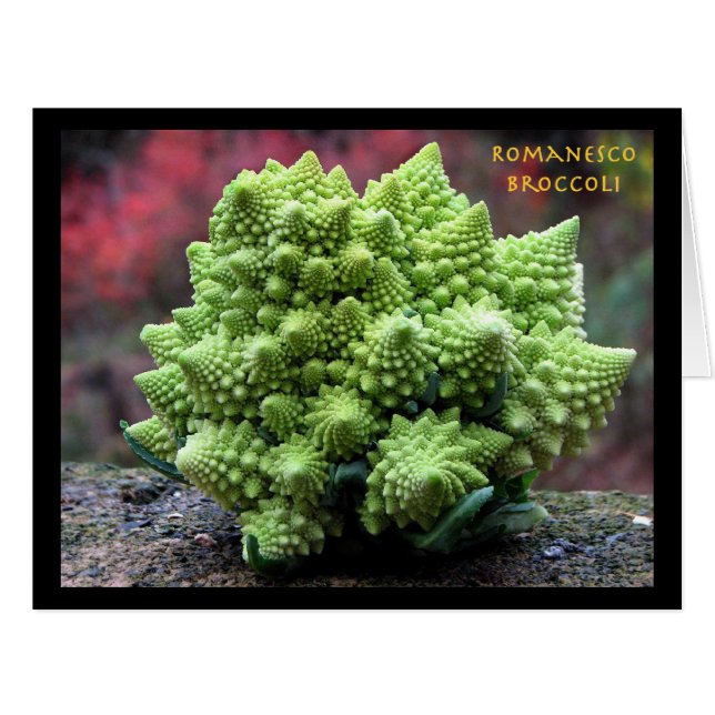 Romanescoのブロッコリーの野菜 (正面横)