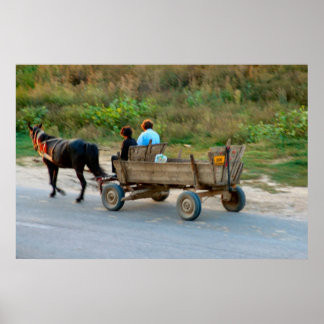 Romania, horse and cart ポスター