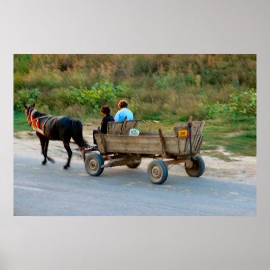 Romania, horse and cart ポスター (正面)