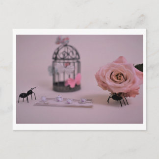 「romANTic」ポストカード ポストカード