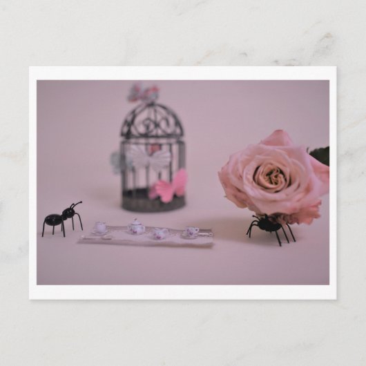 「romANTic」ポストカード ポストカード (正面)