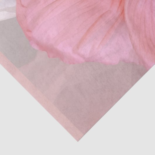 Romantic 薄葉紙 (詳細)