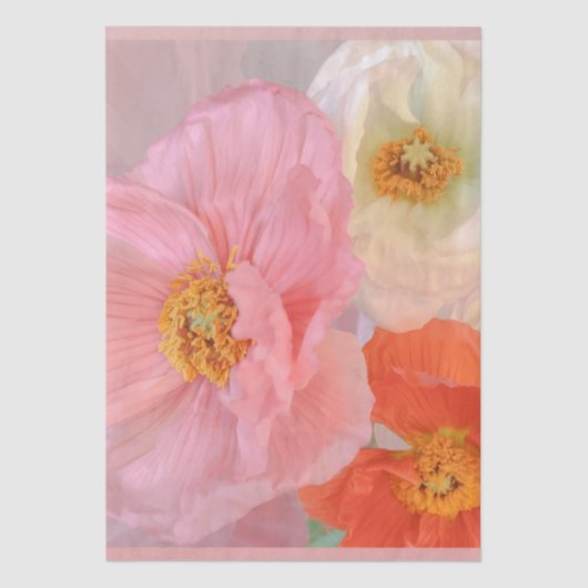 Romantic 薄葉紙 (正面)